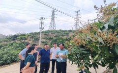  <strong>对生账、投入品办</strong>